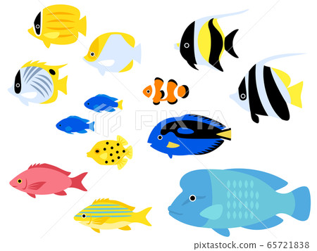熱帶魚例證集合 65721838