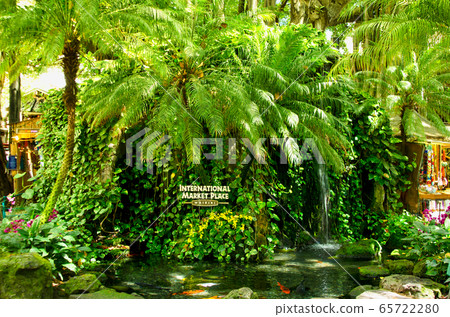 美國夏威夷瓦胡島威基基國際市場廣場裝修前的照片 美國夏威夷瓦胡島威基基國際市場廣場裝修前的照片 65722280