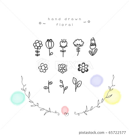 手繪花卉植物一套 65722577