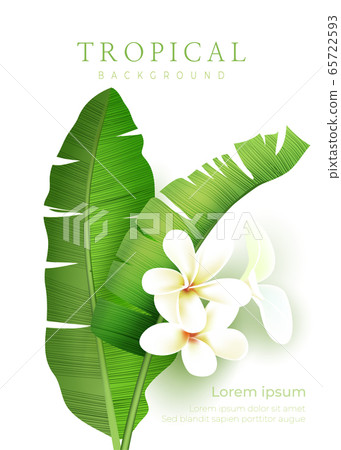 Summer background Tropical frame Summer concept background Summer background Tropical frame Summer concept background 65722593