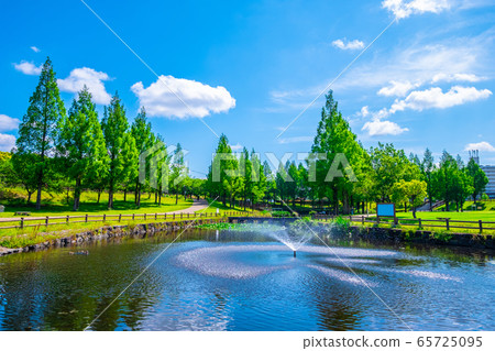 Uchiage河防洪中的水杉 65725095