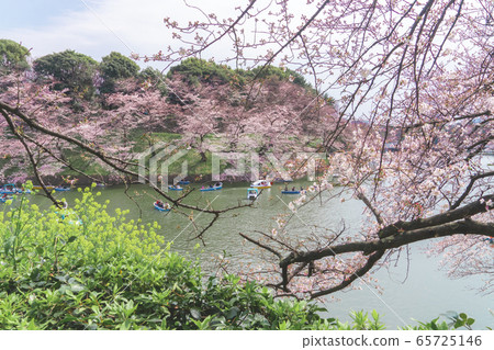 People are riding the Paddle boat in 65725146