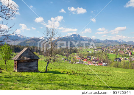 View of Tatra Mountains from the meadow in Zakopane, Poland 65725844
