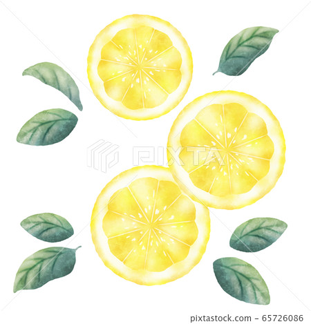 水彩檸檬片 水彩檸檬片 65726086