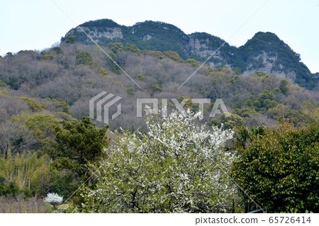 Gokenzan (Yaguriyama) Spring 1 Gokenzan (Yaguriyama) Spring 1 65726414