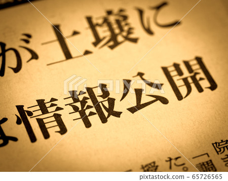 Information disclosure headline 65726565