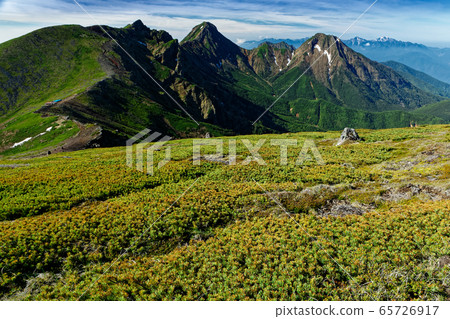 Yatsugatake main peak group seen from Iwodake Yatsugatake main peak group seen from Iwodake 65726917