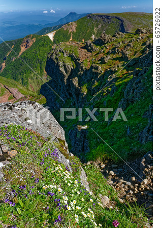 View of alpine plants of Yatsugatake mountain range and Yokodake and Iodake and Tateshina mountain View of alpine plants of Yatsugatake mountain range and Yokodake and Iodake and Tateshina mountain 65726922