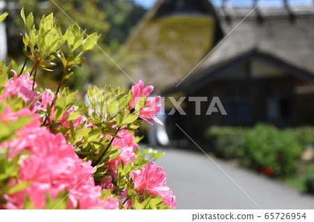 美山市容 美山市容 65726954