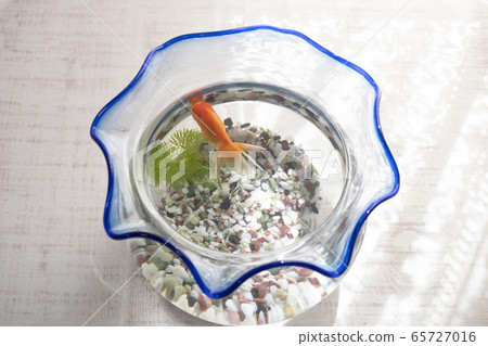 Fish bowl at window side Fish bowl at window side 65727016