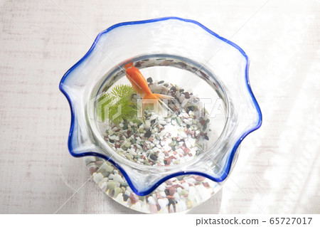 在窗口邊的魚碗 65727017