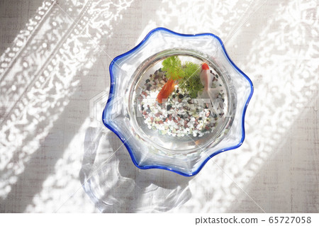 在窗口邊的魚碗 65727058