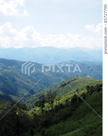 natural landscape view with green tropical mountains and hills clear sky on a sunny day in summer surrounded with tropical jungle plants and trees 65727700