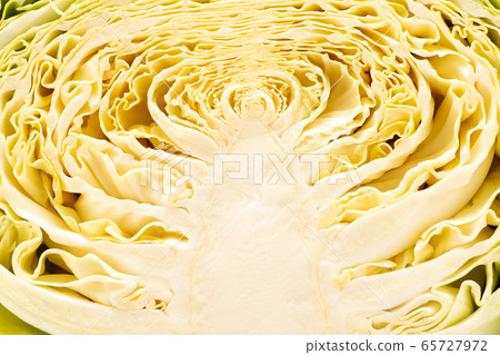 新白菜（春季白菜）的橫截面。 65727972