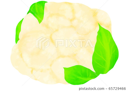 cauliflower cauliflower 65729466