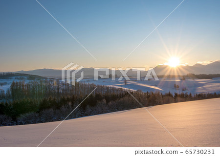 Midsummer Winter's Shuguang Biei 65730231