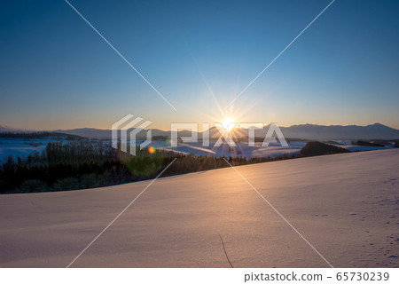 Midsummer Winter's Shuguang Biei 65730239