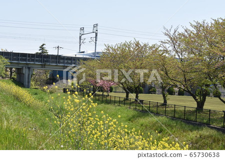 Miyuki Park and Shinkansen 65730638