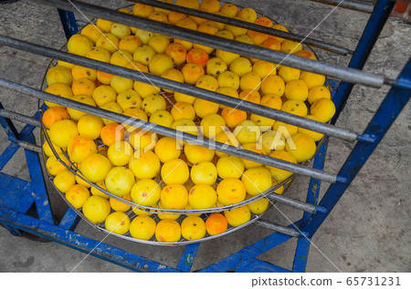 柿子年糕，柿餅柿子年糕，新竹新浦，二比奇柿子年糕 65731231