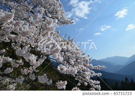 從河合山口眺望Kenzan的景色（德島縣三馬市Kiyahira Kawai） 65731723