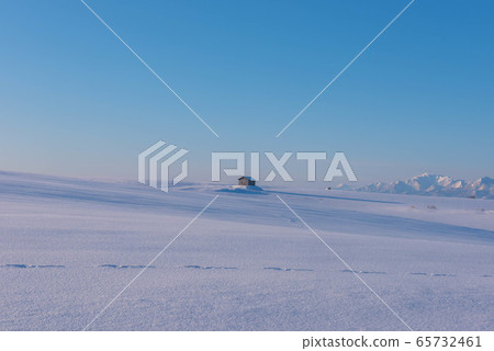 美瑛無名的冬日風光 美瑛無名的冬日風光 65732461