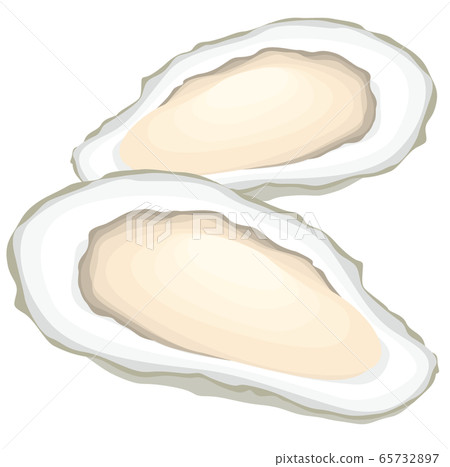 牡蠣牡蠣 65732897