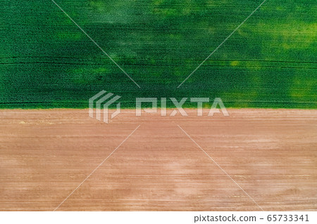 A beautiful field with wheat and half a sand field ready for planting. View from above. Background 65733341