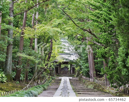 Kamakura / Jufukuji Temple approach Kamakura / Jufukuji Temple approach 65734462