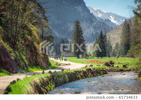 Koscieliska Valley in Tatra mountains, Poland Koscieliska Valley in Tatra mountains, Poland 65734633