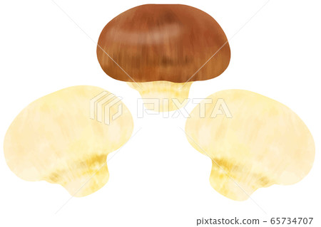 蘑菇 蘑菇 65734707