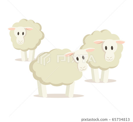 Flock of three sheep. Flat vector illustration, isolated on white background. Flock of three sheep. Flat vector illustration, isolated on white background. 65734813