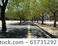樹林道 65735292