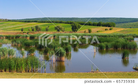 Translational Ecology Science. Beatiful river Translational Ecology Science. Beatiful river 65735938