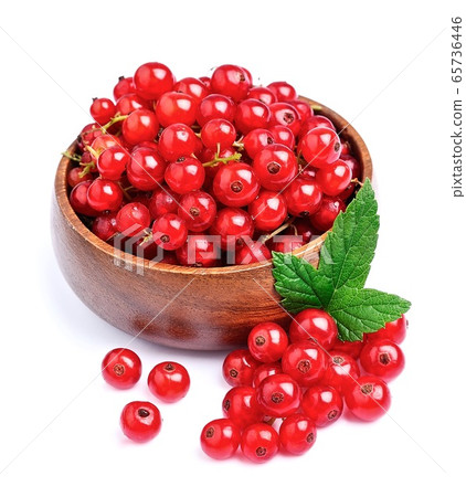 Red currant isolated on white backgrounds. 65736446
