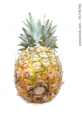 菠蘿 65736760