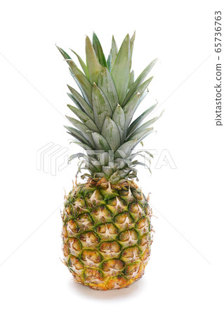 菠蘿 65736763