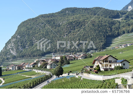 Yvorne，瑞士葡萄酒的起源 65736766