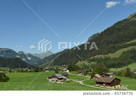 Swiss summer Swiss summer 65736770