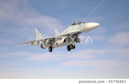 Military fighter aircraft Mig 29 landing/take off. 65736863