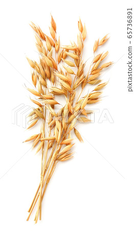 Oat close up. 65736891