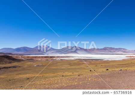 Atacama Desert, Chile. Salar Aguas Calientes. Lake Tuyacto. South America. Atacama Desert, Chile. Salar Aguas Calientes. Lake Tuyacto. South America. 65736916