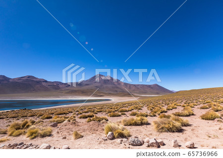Lagunas Altiplanicas, Miscanti y Miniques, amazing view at Atacama Desert. Chile, South America. Lagunas Altiplanicas, Miscanti y Miniques, amazing view at Atacama Desert. Chile, South America. 65736966
