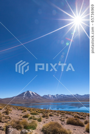 Lagunas Altiplanicas, Miscanti y Miniques, amazing view at Atacama Desert. Chile, South America. Lagunas Altiplanicas, Miscanti y Miniques, amazing view at Atacama Desert. Chile, South America. 65736969