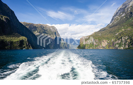 Milford Sound Cruise 65737398