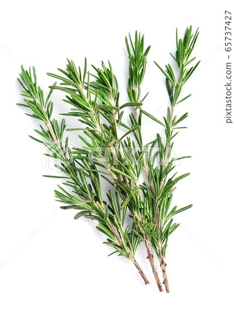 Rosemary twig. 65737427