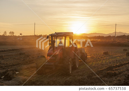 Evening glow tractor work 65737538