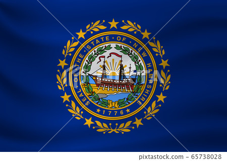 Waving flag of New Hampshire. Vector illustration 65738028