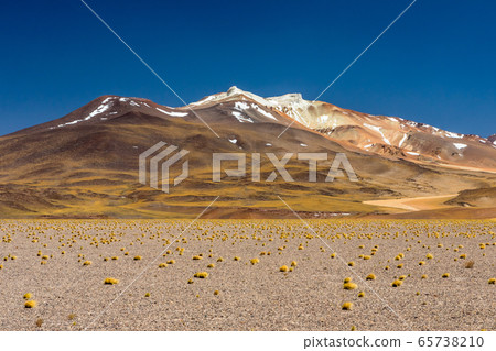 Atacama Desert, Chile. Salar Aguas Calientes. Lake Tuyacto. South America. Atacama Desert, Chile. Salar Aguas Calientes. Lake Tuyacto. South America. 65738210