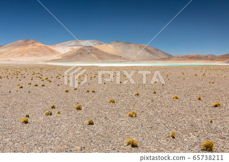 Atacama Desert, Chile. Salar Aguas Calientes. Lake Tuyacto. South America. Atacama Desert, Chile. Salar Aguas Calientes. Lake Tuyacto. South America. 65738211