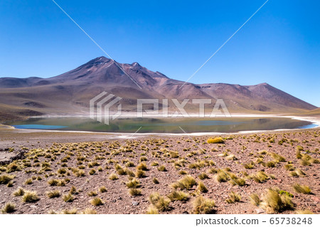 Lagunas Altiplanicas, Miscanti y Miniques, amazing view at Atacama Desert. Chile, South America. 65738248